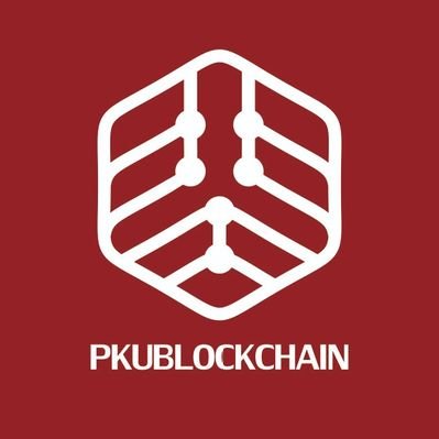 PKU Blockchain