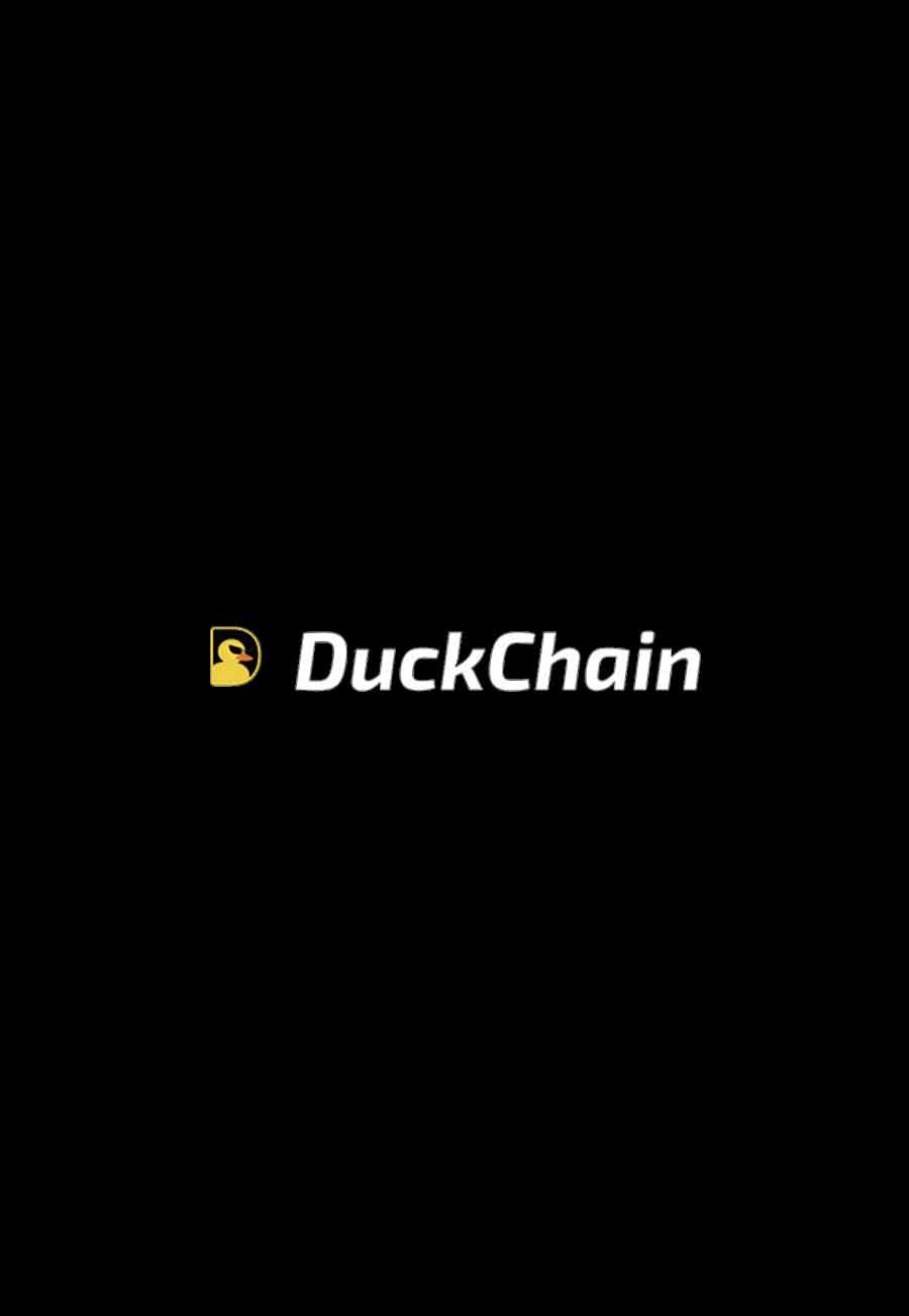 市場脈搏分析：論首個基於 TON 網路的消費者層 DuckChain 推出主網