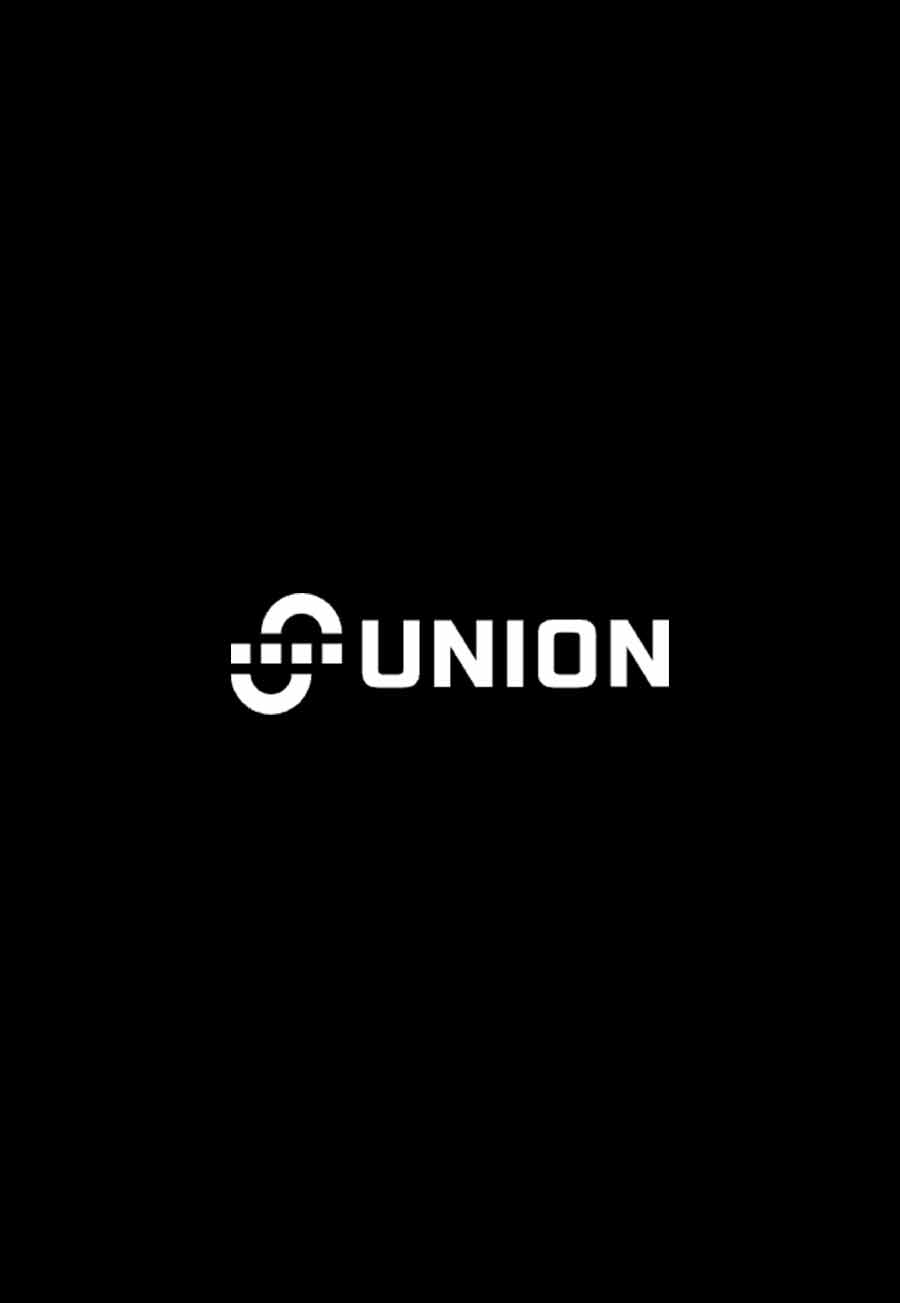模块化互操作性协议 Union 入场，能否打破跨链赛道现有格局？