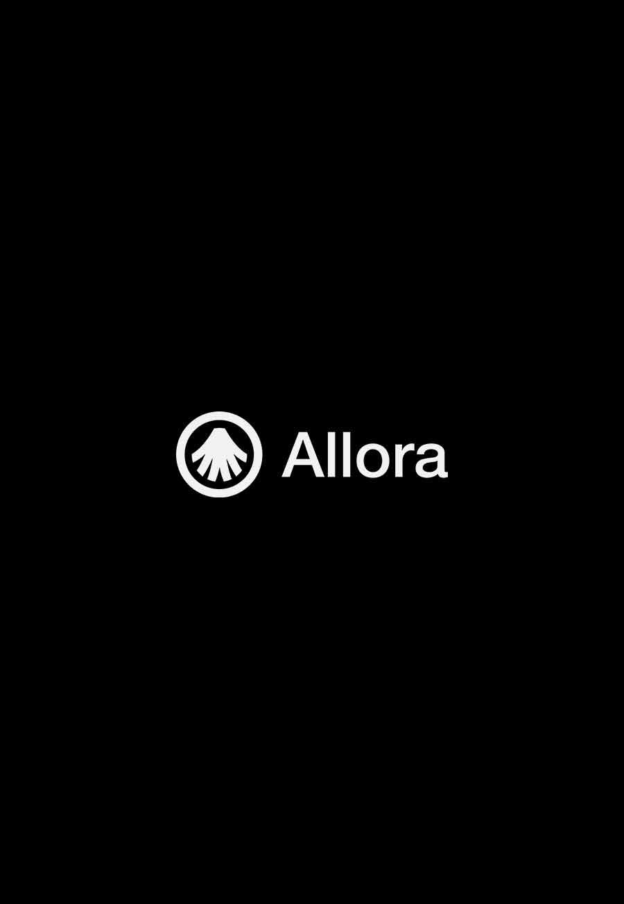 三个 “臭皮匠” 胜于诸葛亮？去中心化机器智能网络 Allora Network 推出主网并推进 AI 从 “单一智慧” 走向自我进化的 “集体智能”
