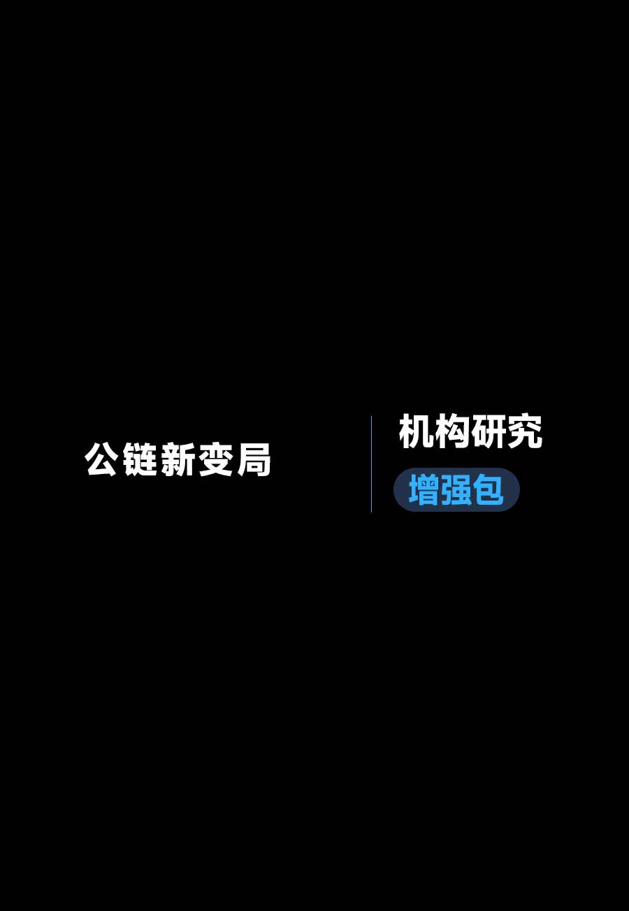 公链新变局研究报告《机构研究增强包》：一页纸格局图、机构视角附录、结构化数据集与持续追踪入口
